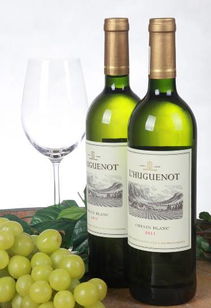 飯局上能喝出美麗 時尚 健康的酒,你選對了嗎