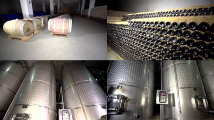 葡萄酒生產(chǎn)葡萄酒生產(chǎn)